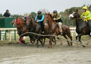 pian delle fornaci prima giornata 2017 (5)