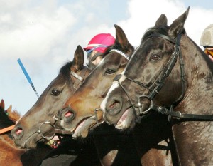 pian delle fornaci prima giornata 2017 (6)