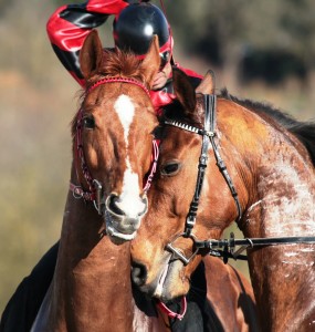 Le pi&ugrave; belle immagini delle corse a Pian delle Fornaci realizzate da Edoardo Crainz