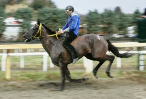 pian delle fornaci prima giornata 2017 (9)