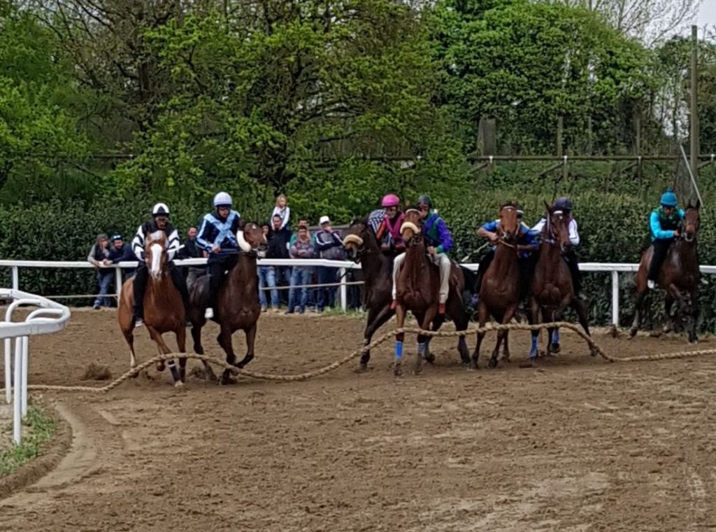 A Fucecchio undici corse: i risultati