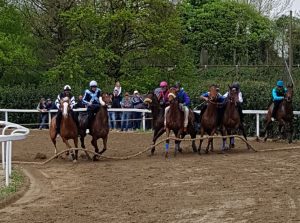 A Fucecchio undici corse: i risultati