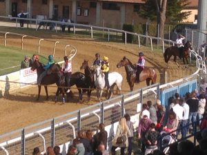 Corse dei cavalli a Monteroni spostate all'8 aprile