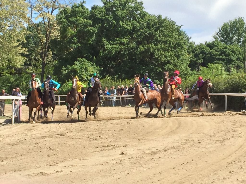 Fucecchio, sabato 25 le corse a pelo: le batterie