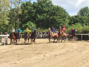 I risultati delle corse di Fucecchio