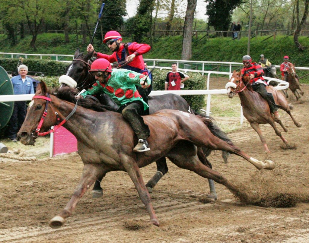 Palio di Fucecchio 2018, tutti i cavalli iscritti alle previsite