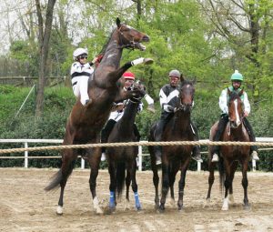 Corse di Fucecchio negli scatti di Edoardo Crainz