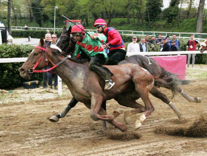 Ufficiale, Palio di Fucecchio il 4 ottobre. Il Comune: "Vogliamo lanciare un messaggio di speranza"