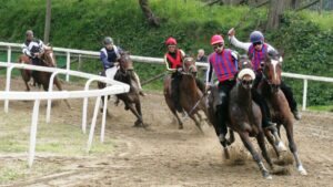 Grave caduta nelle batterie di Fucecchio di questa mattina