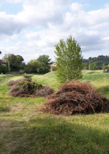 Poggibonsi, fuochi della vigilia per festeggiare San Lucchese
