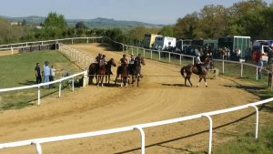 Palio, domani 11 maggio i lavori di addestramento dei cavalli nella pista di Mociano