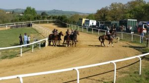 Rubegni (Per Siena): "Mociano, pista non solo di tufo. Gentili non conosce le nuove tecnologie"