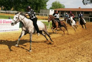 Annullate anche le corse di Monteroni