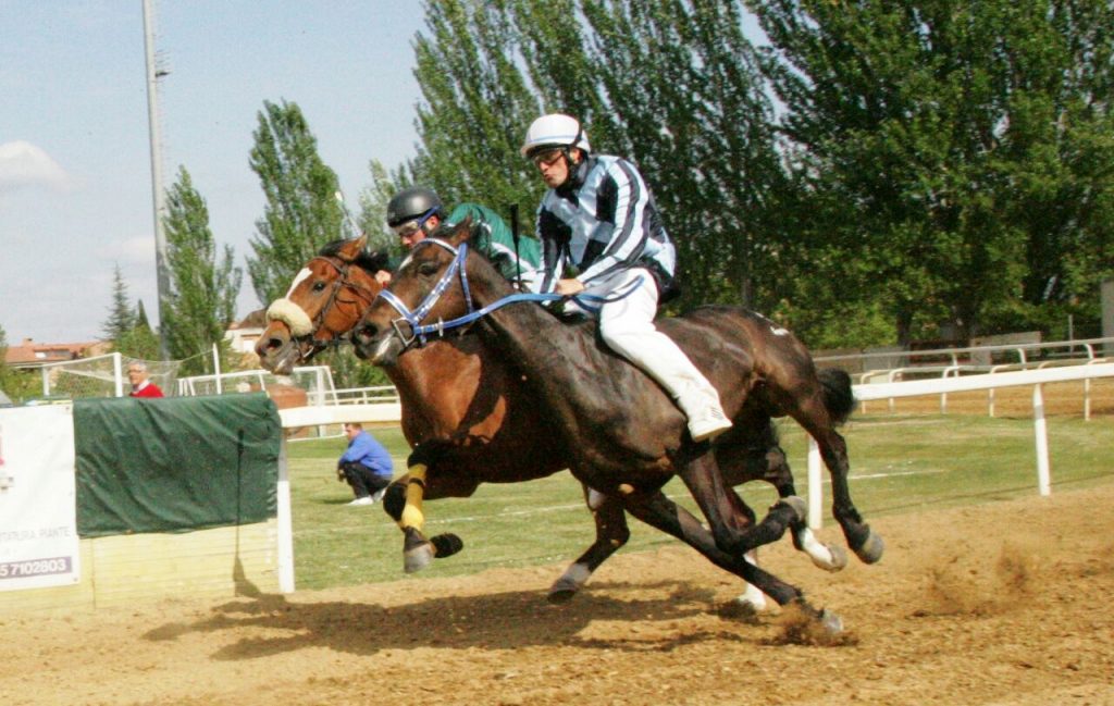 Monteroni, il 25 tornano protagoniste le corse a pelo