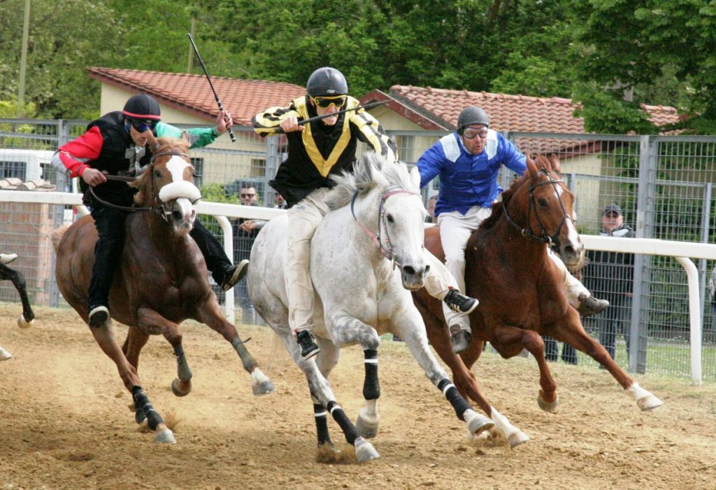 Le corse a pelo di Monteroni d'Arbia potrebbero essere recuperate sabato 4