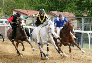 Le corse a pelo di Monteroni d'Arbia potrebbero essere recuperate sabato 4