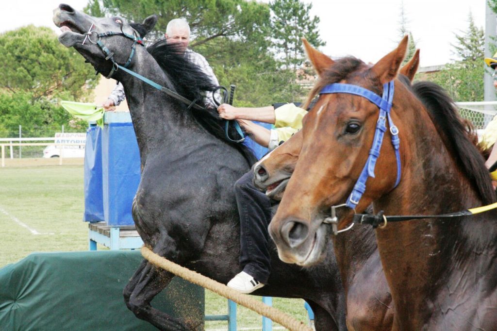 Le corse di Monteroni in trenta splendidi scatti di Edoardo Crainz