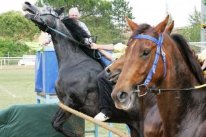 Le corse di Monteroni in trenta splendidi scatti di Edoardo Crainz