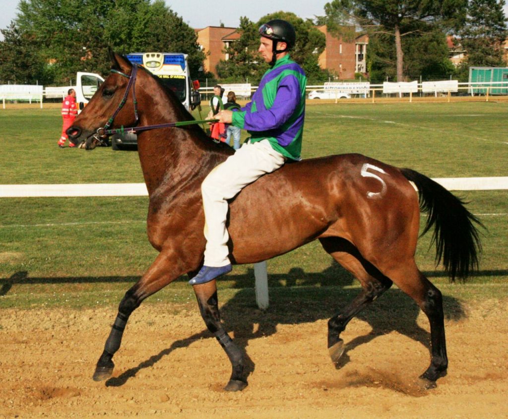 Corse a pelo a Monteroni rinviate al 15 marzo