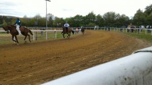 Il programma delle corse a Monticiano martedì 2 maggio