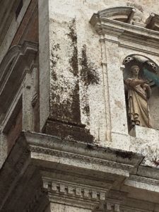 Sciame di api sulla Basilica di Provenzano - IL VIDEO
