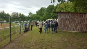 Corse a Monticiano: inizia a piovere. Tutto rinviato