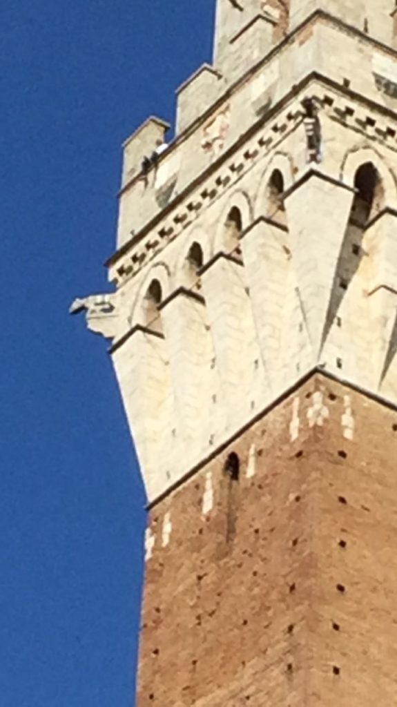 Paura dalla Torre del Mangia: uomo seduto con le gambe nel vuoto - LE FOTO