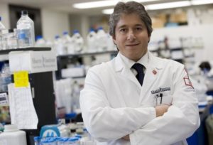 Differenze geografiche nell'incidenza del Covid: studio coordinato dal prof. Antonio Giordano dell'Universit&agrave; di Siena