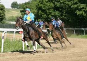 Maltempo, rinviate le corse di addestramento a Monticiano previste per il 21