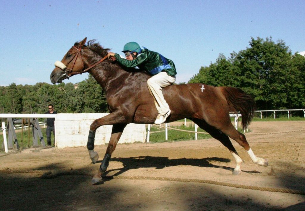 Ecco le batterie per le corse di Monticiano del 29 Aprile