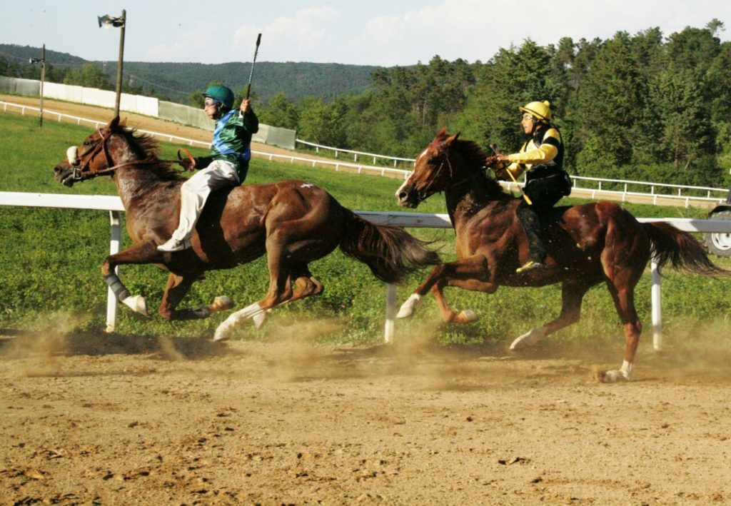 Domani il primo appuntamento di corse per l'addestramento a Monticiano