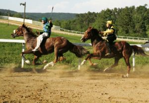 Domani il primo appuntamento di corse per l'addestramento a Monticiano