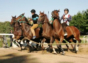 Rinviate le corse di addestramento a Monticiano in programma per domani