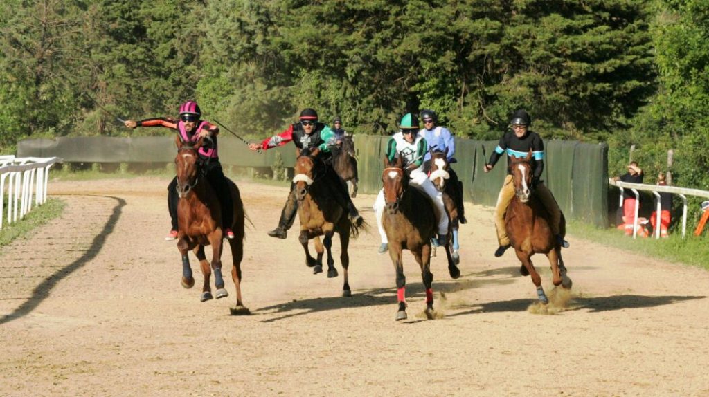Domani 4 giugno ultimo appuntamento con le corse di addestramento di Monticiano. Le batterie