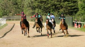 Monticiano, il 26 secondo appuntamento per l'addestramento dei cavalli
