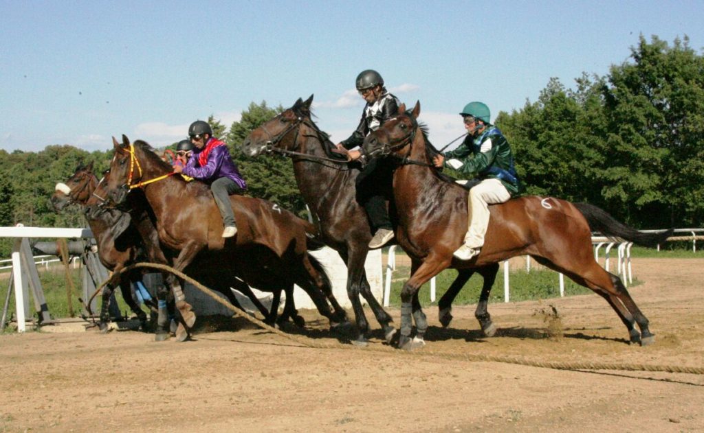 Corse Monticiano: i risultati delle sette batterie e le foto di Edoardo Crainz