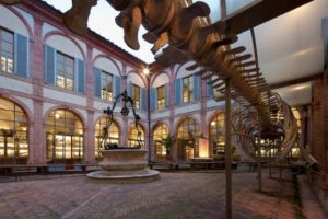 Siena: il Museo di Storia Naturale dell'Accademia dei Fisiocritici riapre dal 1 Giugno