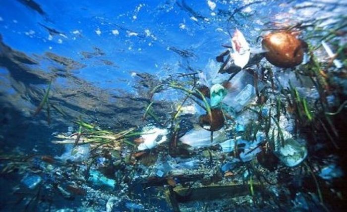Mediterraneo contaminato da plastica, lo dice uno studio dell'Universit&agrave; di Siena