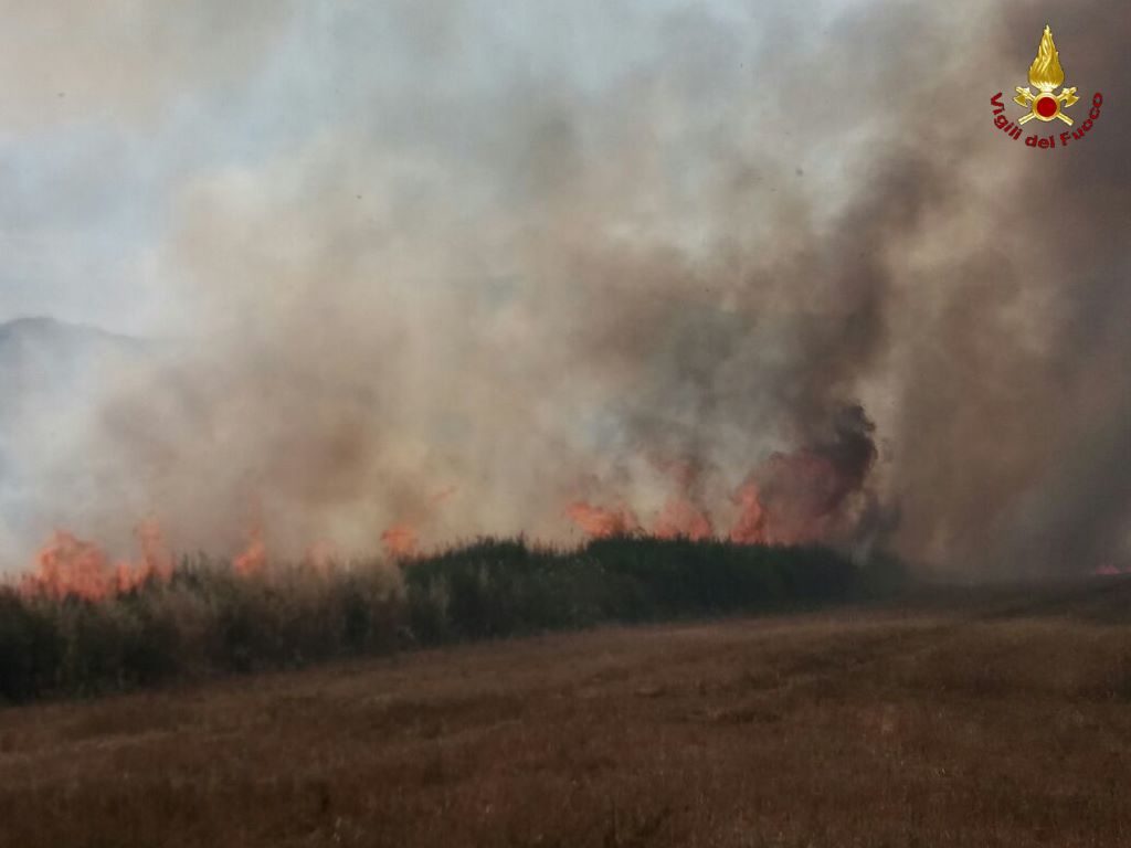 Vasto incendio a Poggibonsi: mezza Toscana a fuoco