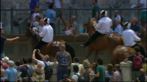 Palio, scelti i dieci cavalli