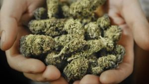 Ventenne spacciatore beffato dai parenti