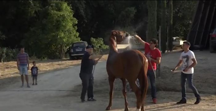 Concluse le previsite, altri due assenti