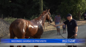 Secondo giorno di Previsite 24062017