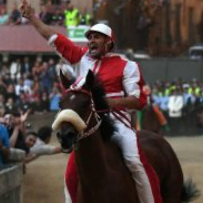 Giraffa :  Il 9 luglio il corteo della vittoria