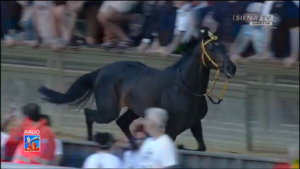 Prova Generale 01072017