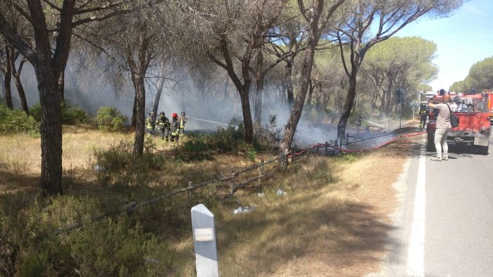 Ancora fiamme a Marina di Grosseto