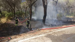 Flai Cgil e Fai Cisl, Incendi: "Chiediamo la riapertura del turnover"