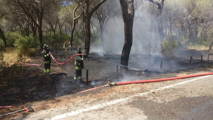 Flai Cgil e Fai Cisl, Incendi: "Chiediamo la riapertura del turnover"