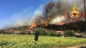 Inferno di fuoco a Castiglione della Pescaia: migliaia evacuati, squadre di pompieri anche da Siena