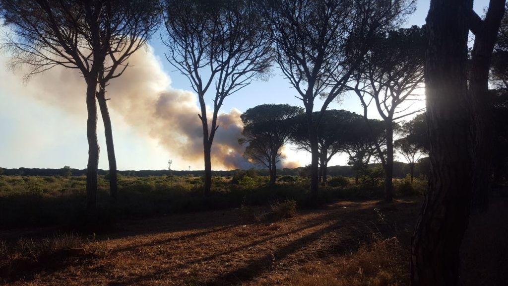 Incubo incendi, ancora fiamme nel territorio senese